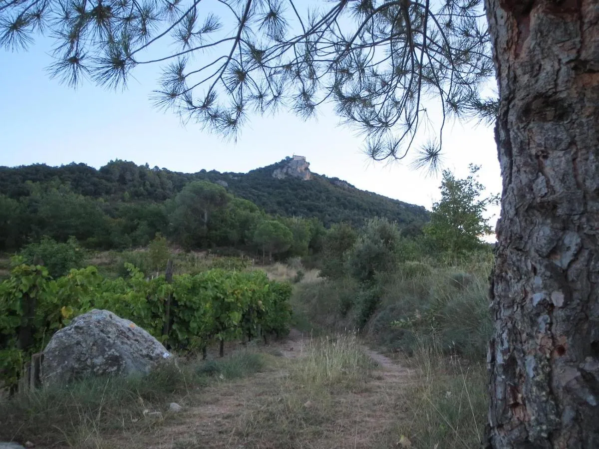 Tatil Evi Cal Carinyo, Allotjament Familiar Villa Amer İspanya